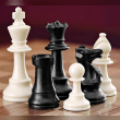 Chess Reviews | RateItAll