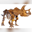 Triceratops Reviews | RateItAll