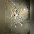 Archaeopteryx Reviews | RateItAll