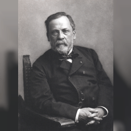 Louis Pasteur image